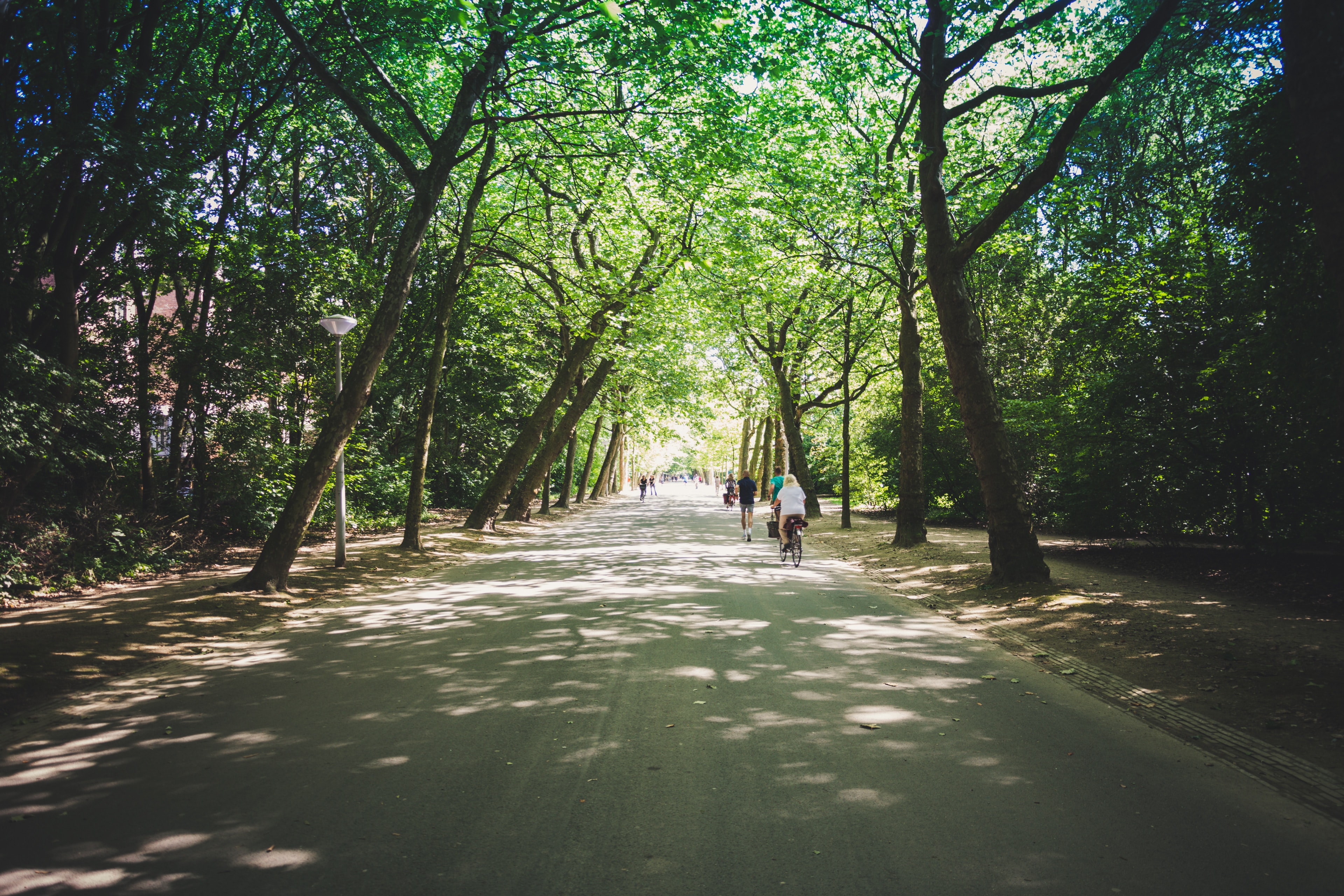 Mindfulness opleiding amsterdam volgen bij van Seetrue (MBCT / MBSR)Mindfulness opleidingen voor professionals. Word mindfulness trainer met SeeTrue, dé opleider in mindfulness