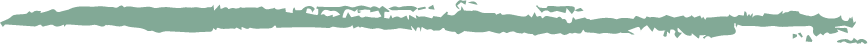 Mindfulness basisopleiding: word mindfulness trainer